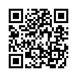 19461100291 QRCode