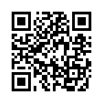 19628241271 QRCode