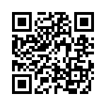 2-2041068-4 QRCode