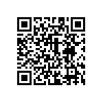 20020011-H101B01LF QRCode