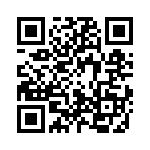 20100013212 QRCode