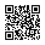 20104000001P QRCode