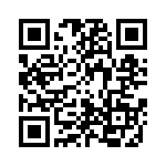 2013-3-4ST QRCode