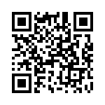 216331-2 QRCode