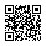 216457-4 QRCode