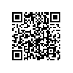 2220J0250101FFT QRCode