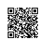 2225J0250271KFT QRCode