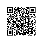 2225J0250393KFT QRCode