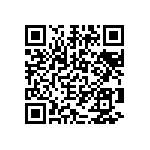 2225Y0250273KXT QRCode