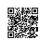 2225Y0250275JDT QRCode