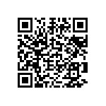 2225Y1K20333MXT QRCode