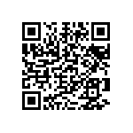 2225Y2500273MDT QRCode