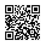 250R05L200FV4T QRCode