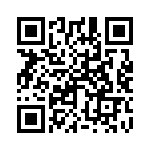 250R05L510FV4T QRCode