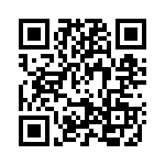 2905295 QRCode