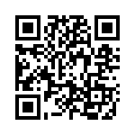 2911168 QRCode