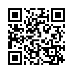 29333C QRCode