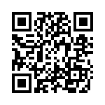 2B1 QRCode