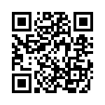 3-1617073-9 QRCode