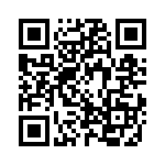 3-2013022-5 QRCode