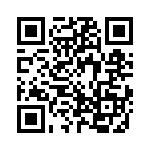 3-2013310-4 QRCode