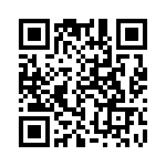 3-2176093-2 QRCode