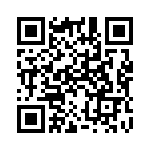 300001 QRCode