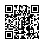 300100240121 QRCode