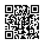 300100240205 QRCode