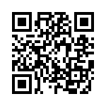 3001U00780065 QRCode