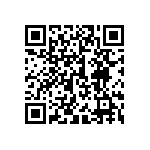 300AWSP1J6BLKVS2QE QRCode