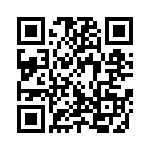 300X11249X QRCode