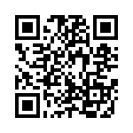 300X11339X QRCode