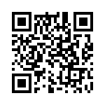 30313150421 QRCode