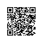 310-13-161-41-001000 QRCode