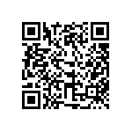 310-87-133-41-001101 QRCode