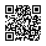 3100-00160137 QRCode