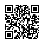 313080010 QRCode