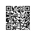 315-93-125-41-003000 QRCode