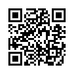 325333-09-0 QRCode