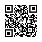 334MKP275KA QRCode