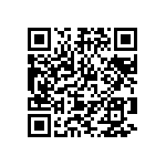 346-062-520-804 QRCode