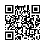 353NB3I384T QRCode