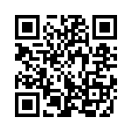 353NB3I38CT QRCode