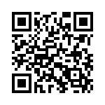 353NB6A400T QRCode