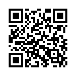 353SB3C135T QRCode