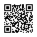 353TB3I400T QRCode