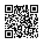 353TB5I163T QRCode