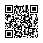 353TB5I250T QRCode