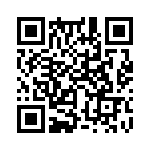 353TB5I400T QRCode